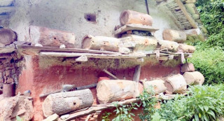 बाटो र भिरपाखामा समेत मौरीका घार, मह बेचेरै वार्षिक लाखौँ आम्दानी