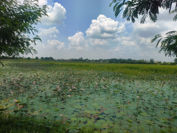 संरक्षणको अभावमा जीर्ण बन्दै कान्तिताल