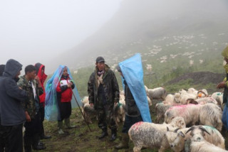 विदेशबाट फर्किएका युवा भेंडापालनमा