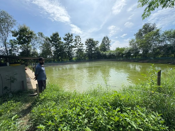 माछापालन व्यवसायबाट वार्षिक रु. १५ लाख बचत